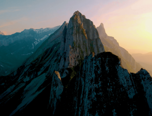 Pioneering PPE Solutions